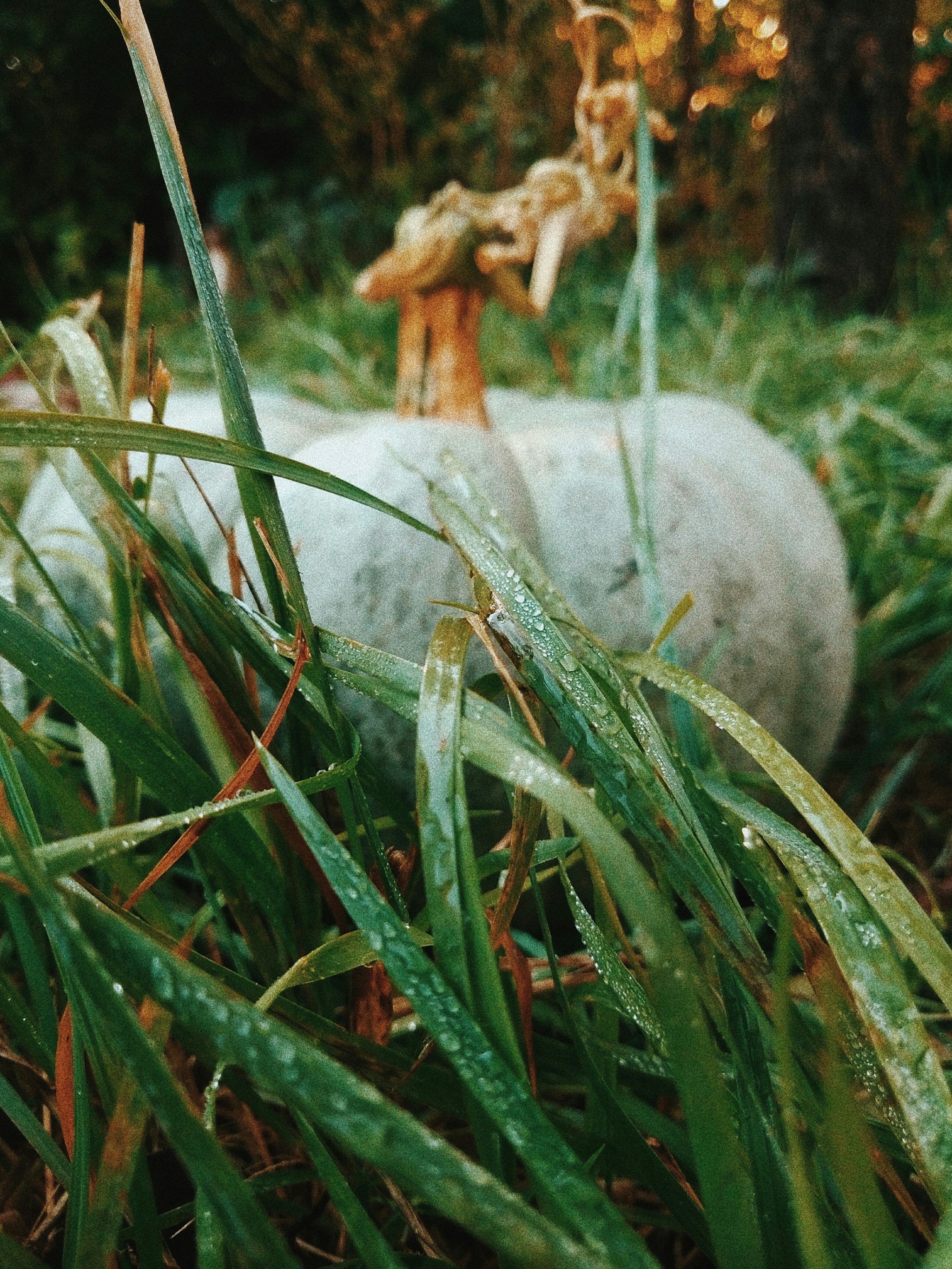 Harvest - My, Autumn, The photo, Pumpkin, Longpost