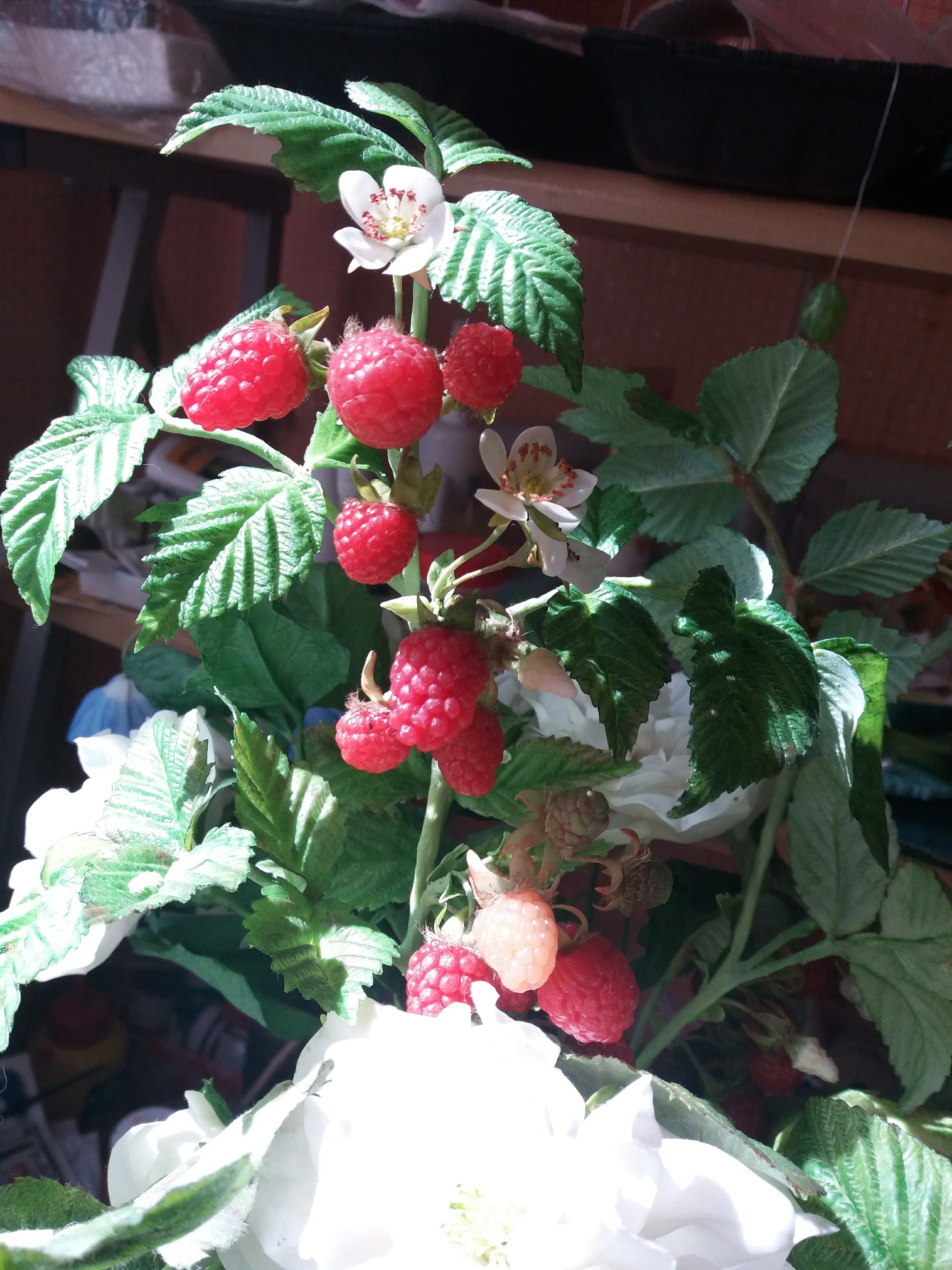 Raspberry, raspberry, my raspberry ..... from cold porcelain. - My, Raspberries, Cold porcelain, Berries, Handmade, Longpost