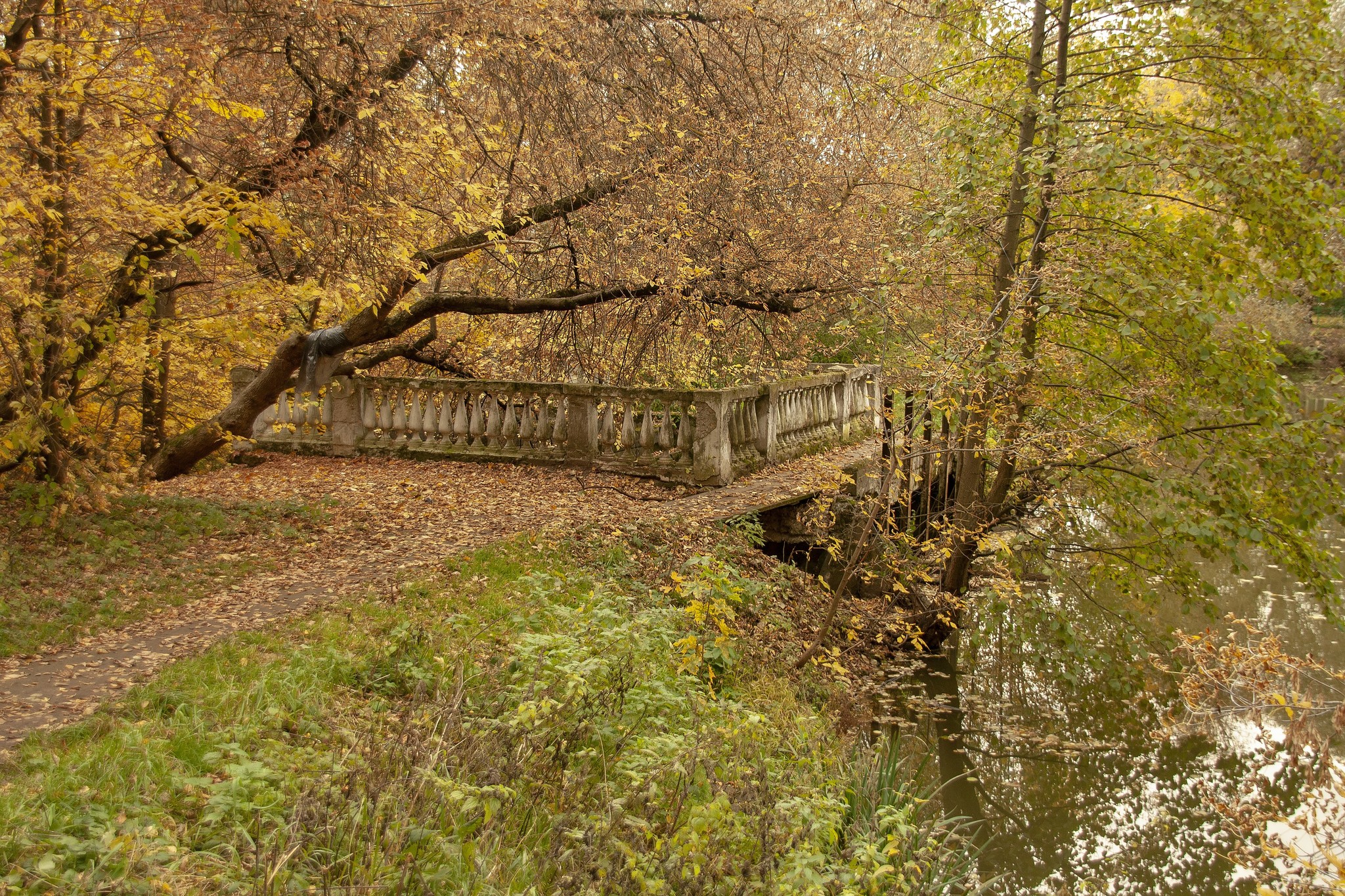 Палитра осени в Горках Ленинских - Горки ленинские, Осень, Палитра, Длиннопост