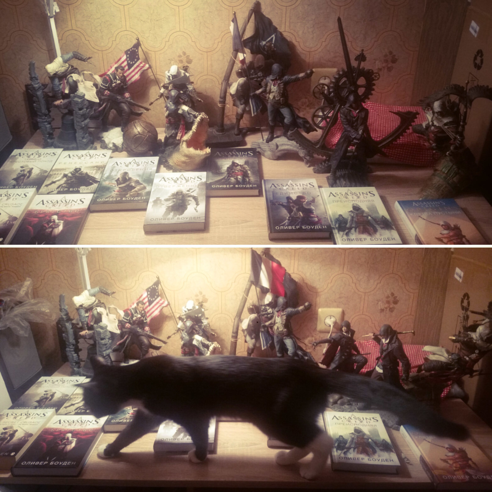 Assassin's creed collection in detail - My, Assassins creed, Collection, Ubisoft, Longpost