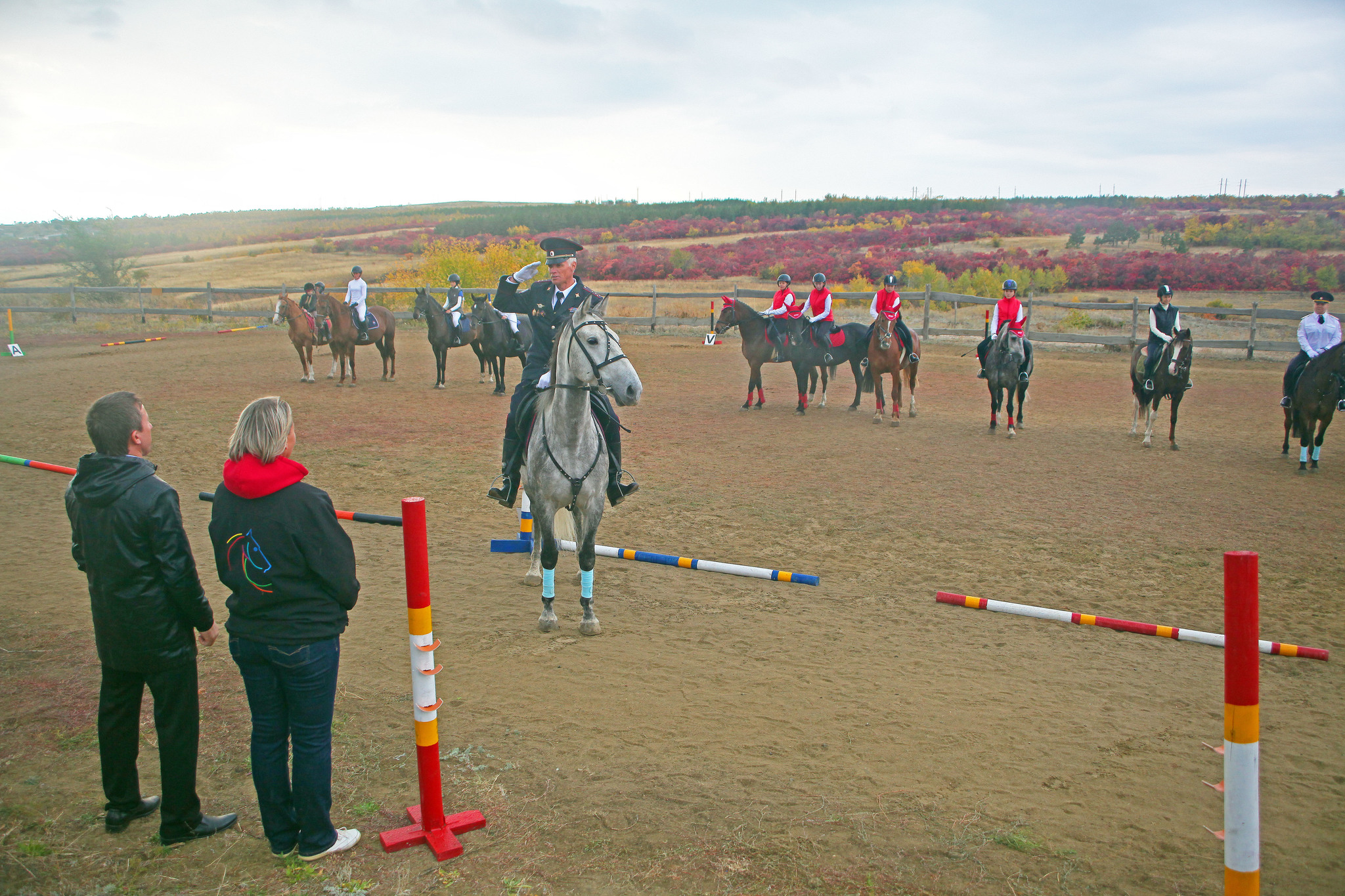 Chronicle of one competition - 2 - My, Horses, Competitions, Horseback Riding, Longpost