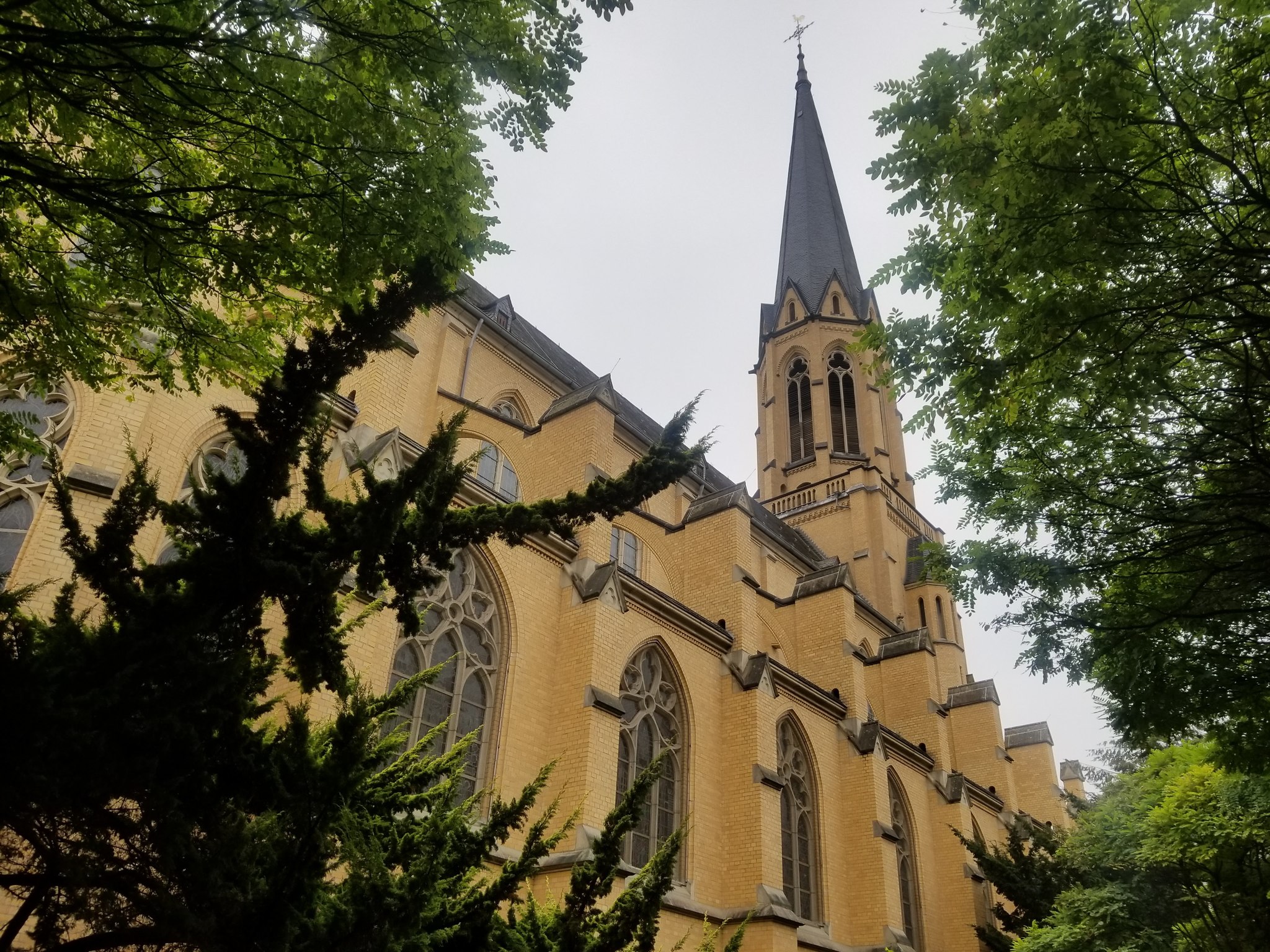 Travel Diary, Germany - Bonn, November 2018 - My, Germany, Bonn, Travels, Travel to Europe, Longpost