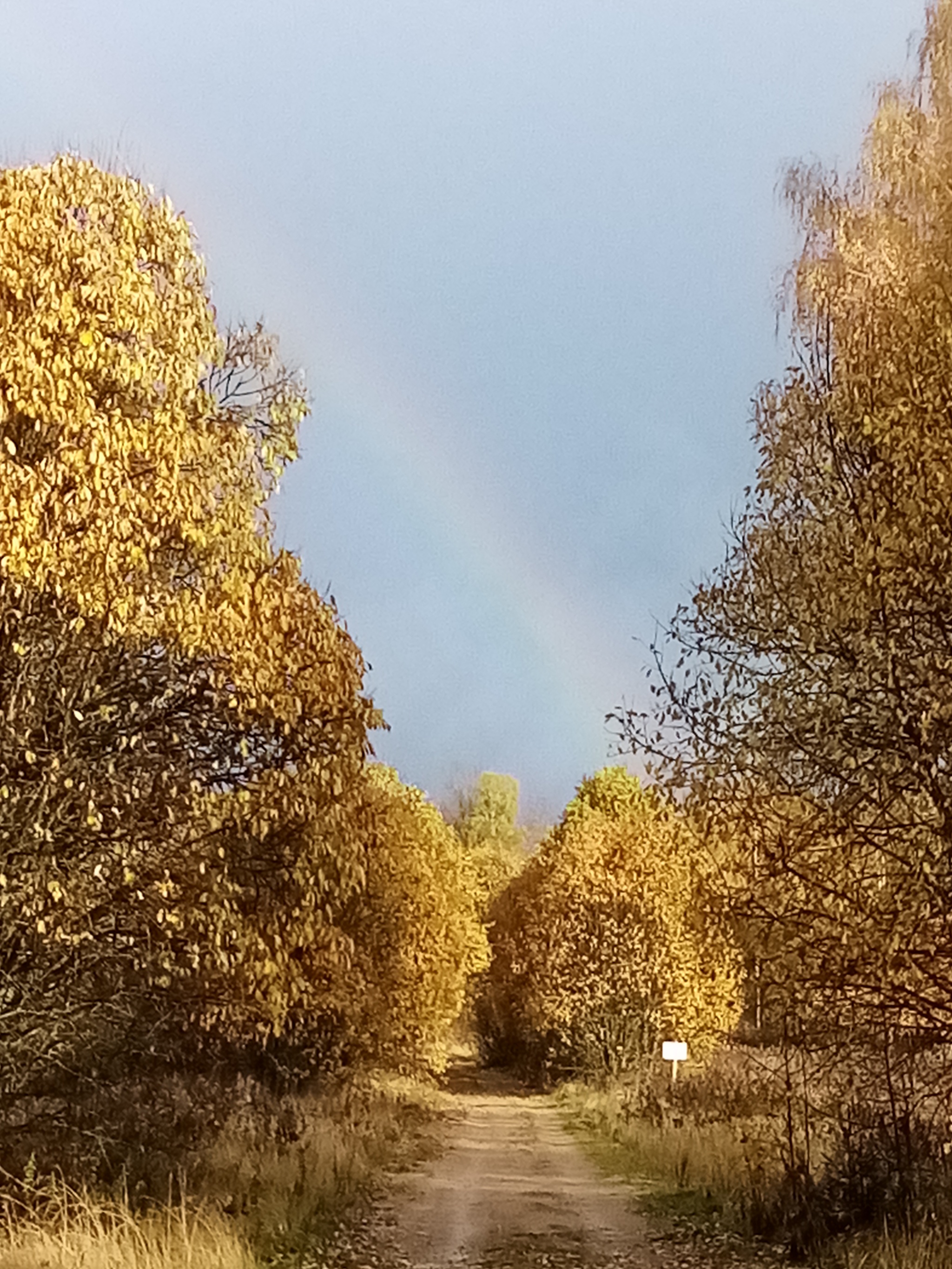 october rainbow - Autumn, Rainbow, October