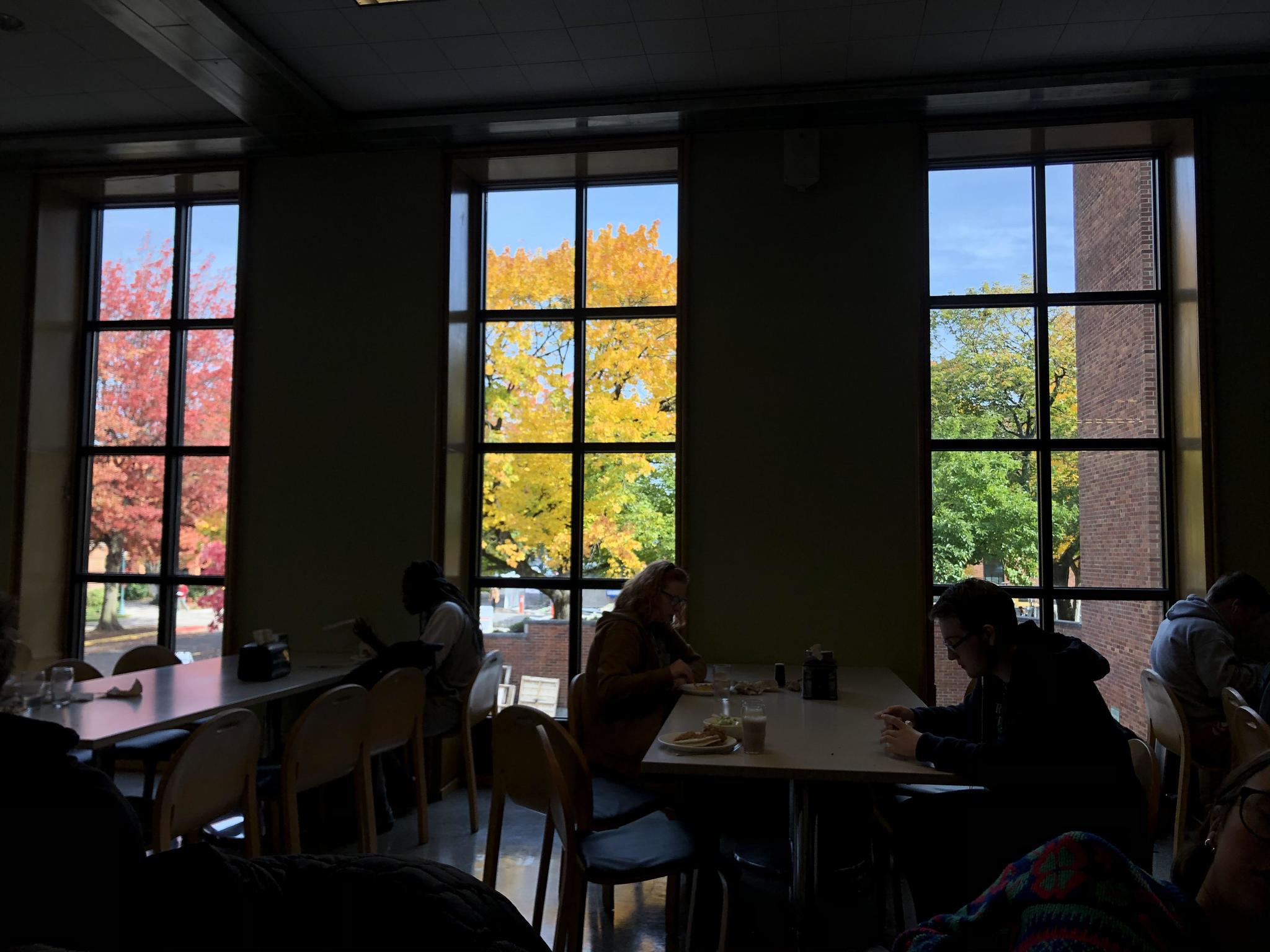 Each window has its own shades of autumn - Reddit, Autumn, Tree, Leaves