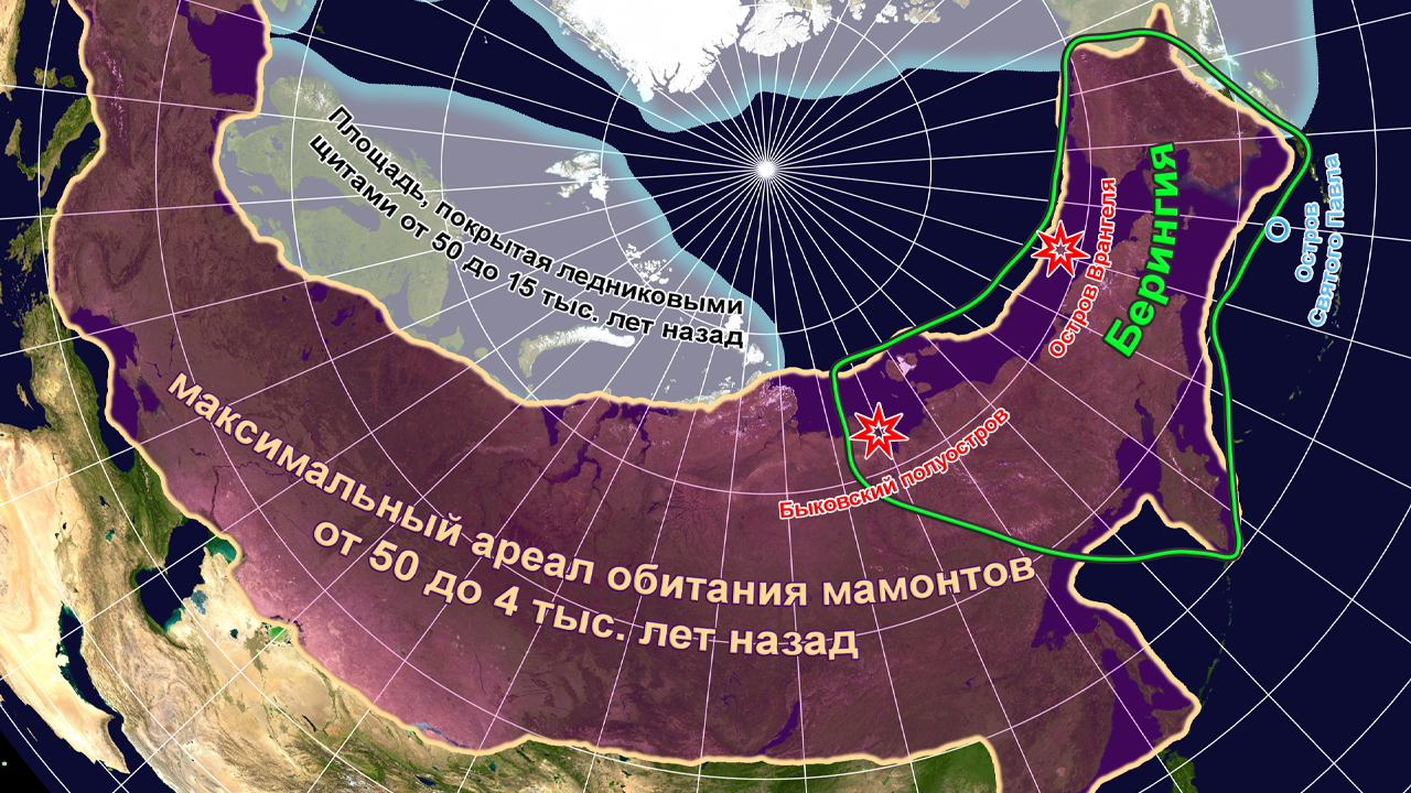 Зоны обитания. Мамонты ареал. Мамонт место обитания. Ареал обитания Мамонтов карта. Где жили мамонты на карте.