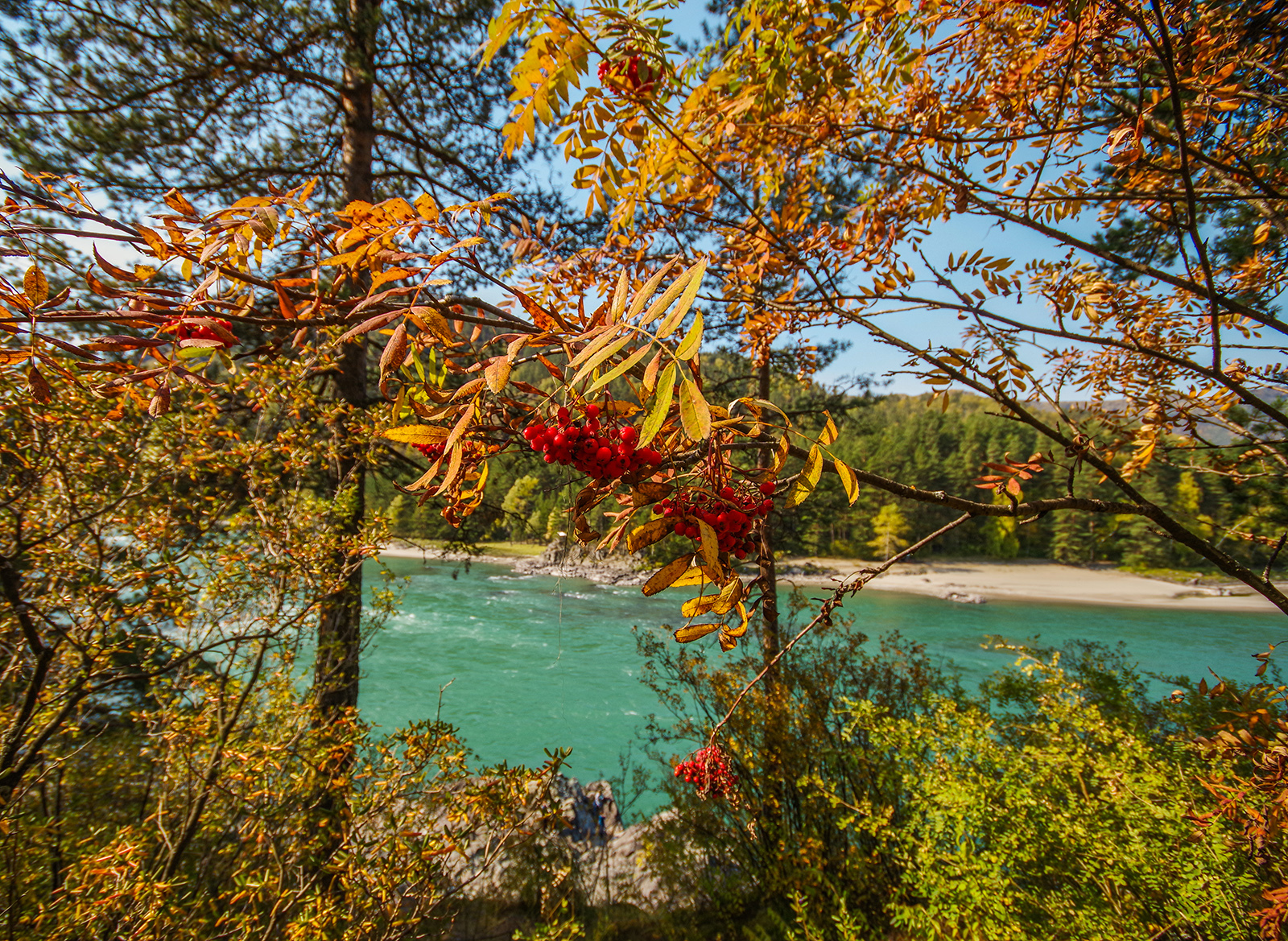 Katun and Chuya - My, Mountain Altai, Katun, Holidays in Russia, Travels, Michael, The photo, Camping, Leisure, Longpost, Altai Republic