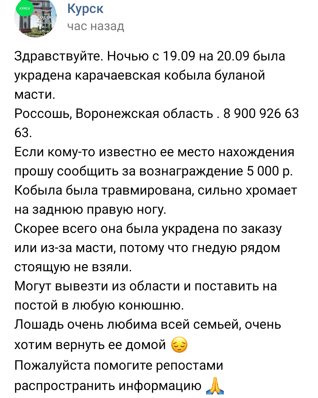 Voronezh problem - In contact with, Voronezh, Gypsies, Screenshot, Longpost