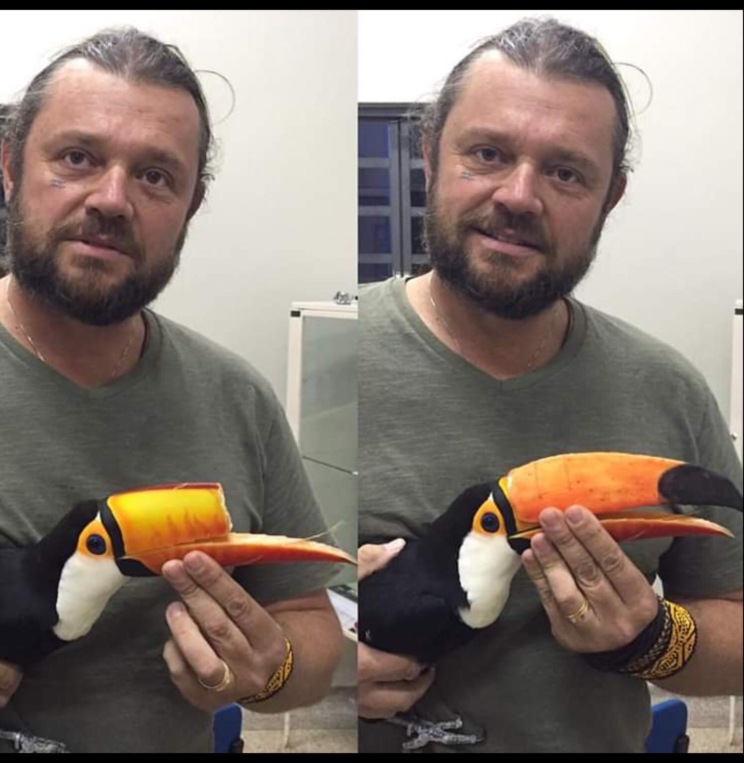 A toucan beak was reconstructed using a 3D printer - Beak, Toucan, 3D printer