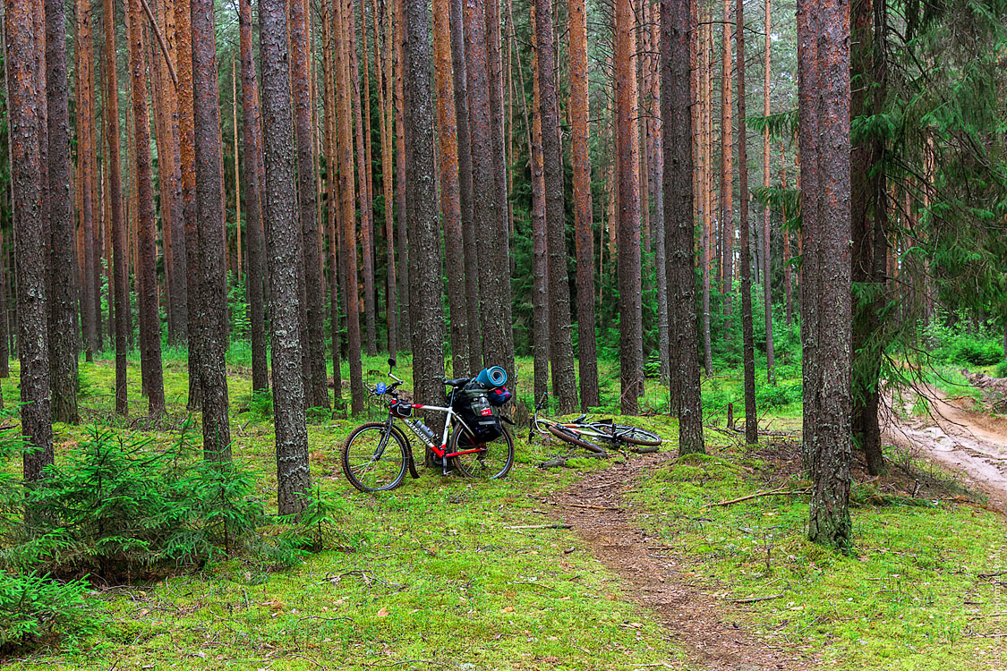 A small circle on bikes. - My, Travels, Bike ride, The photo, Kirov region, Longpost