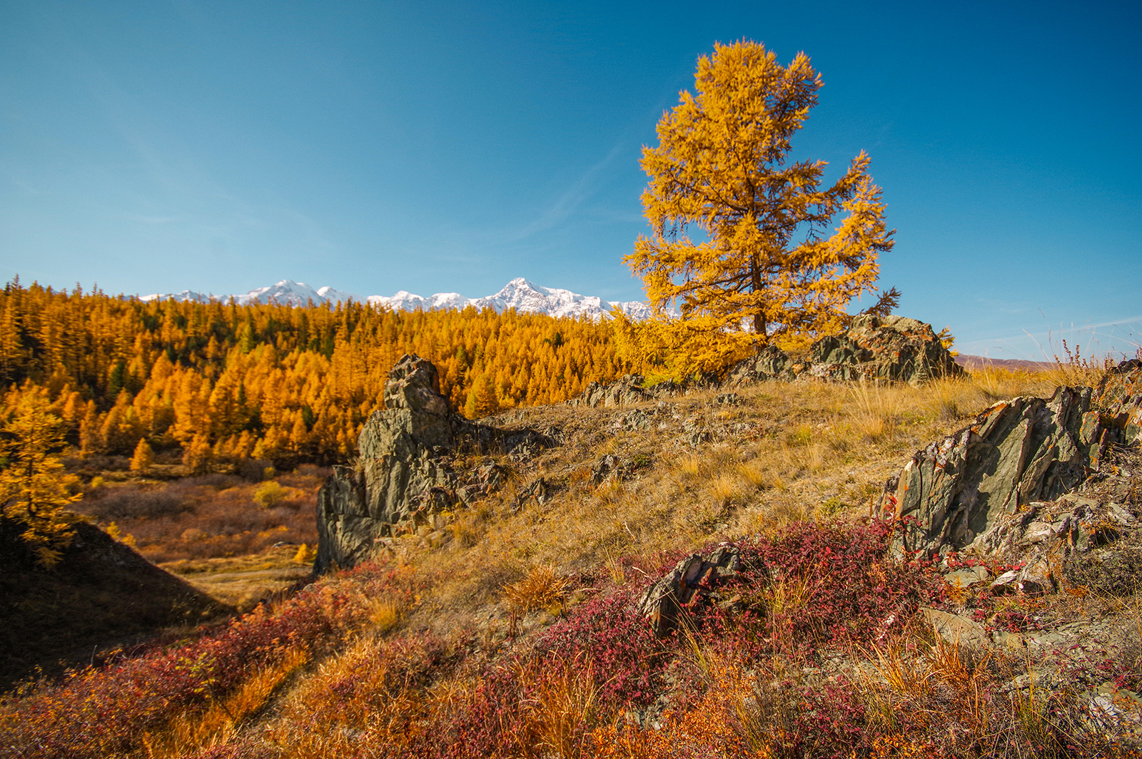 20 frames from Altai - My, Altai Republic, Michael, Travels, Holidays in Russia, Leisure, The photo, Siberia, Longpost