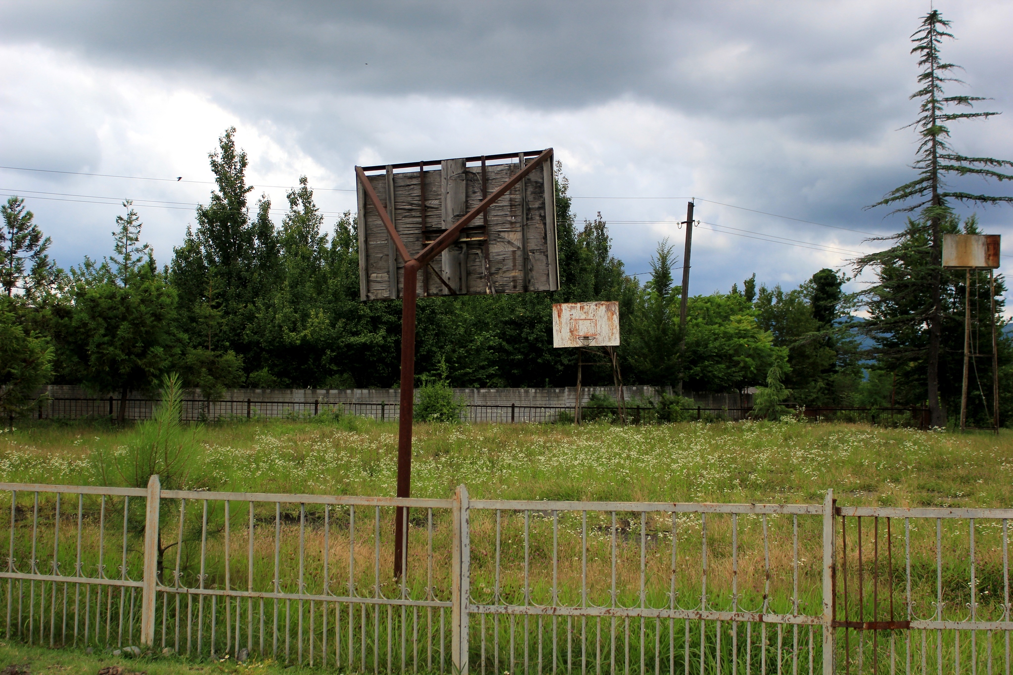 Bakhmaro. Georgia - My, Georgia, Tbilisi, Longpost