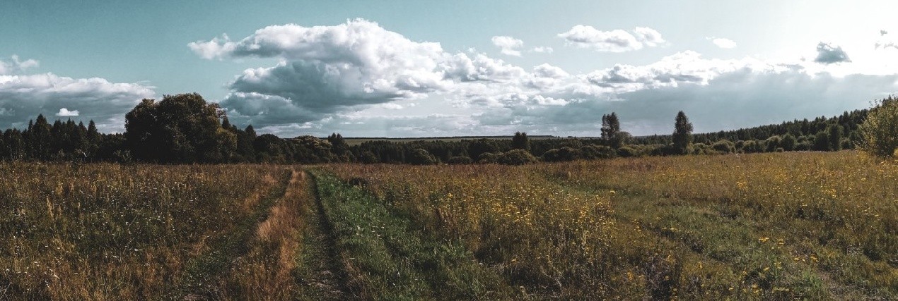 Бескрайние просторы. - Моё, Фотография, Пейзаж