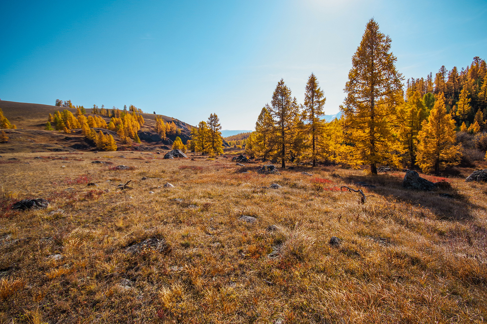 For the sake of sunrises - My, Altai Republic, Travels, Michael, Holidays in Russia, Leisure, The photo, Landscape, Longpost