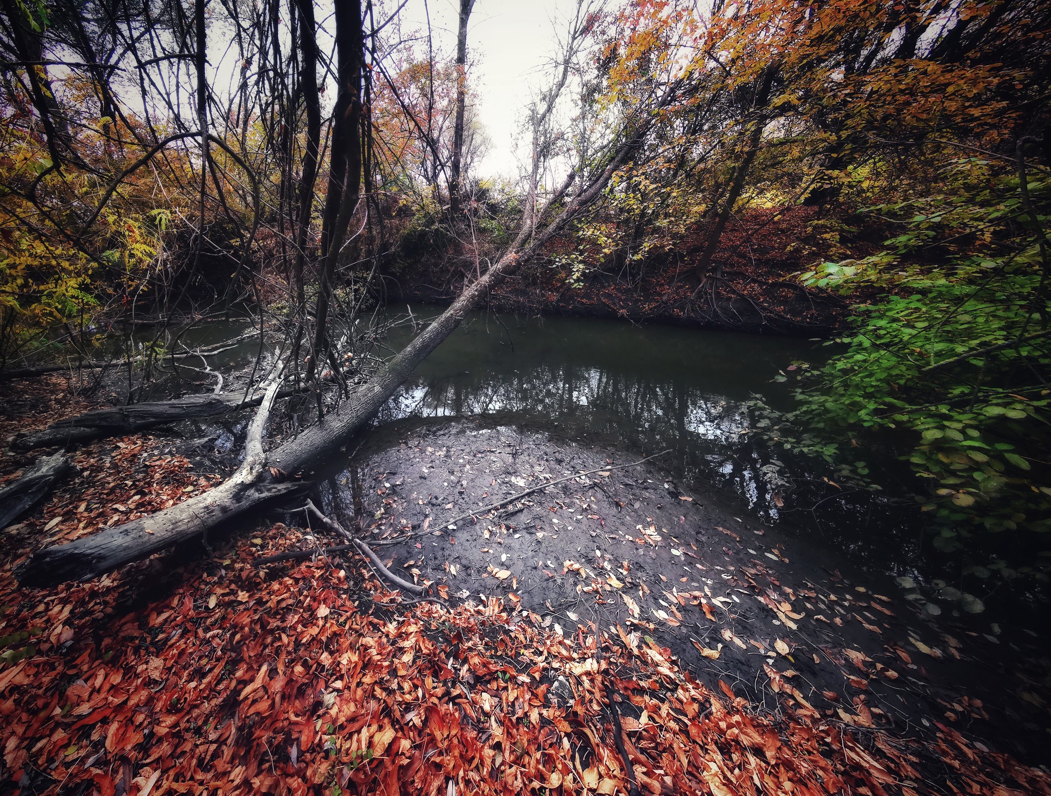 Neighborhoods of Rostov - My, Nature, Autumn, Landscape, Longpost, The photo, beauty of nature, Rostov-on-Don