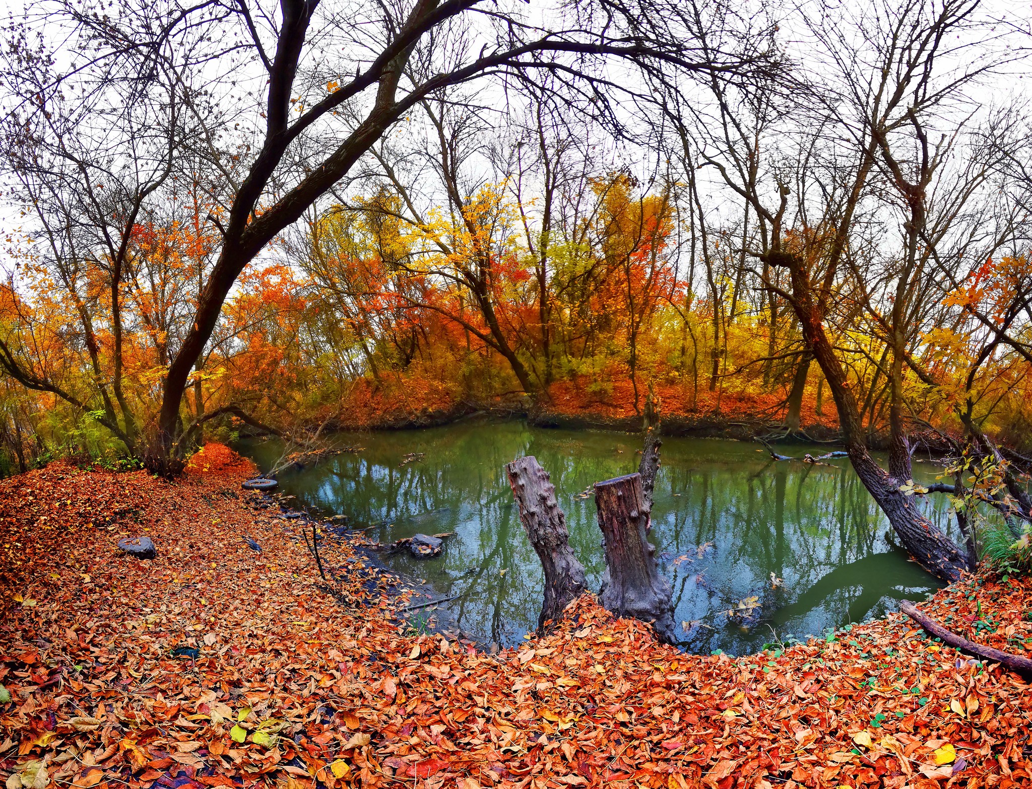 Neighborhoods of Rostov - My, Nature, Autumn, Landscape, Longpost, The photo, beauty of nature, Rostov-on-Don