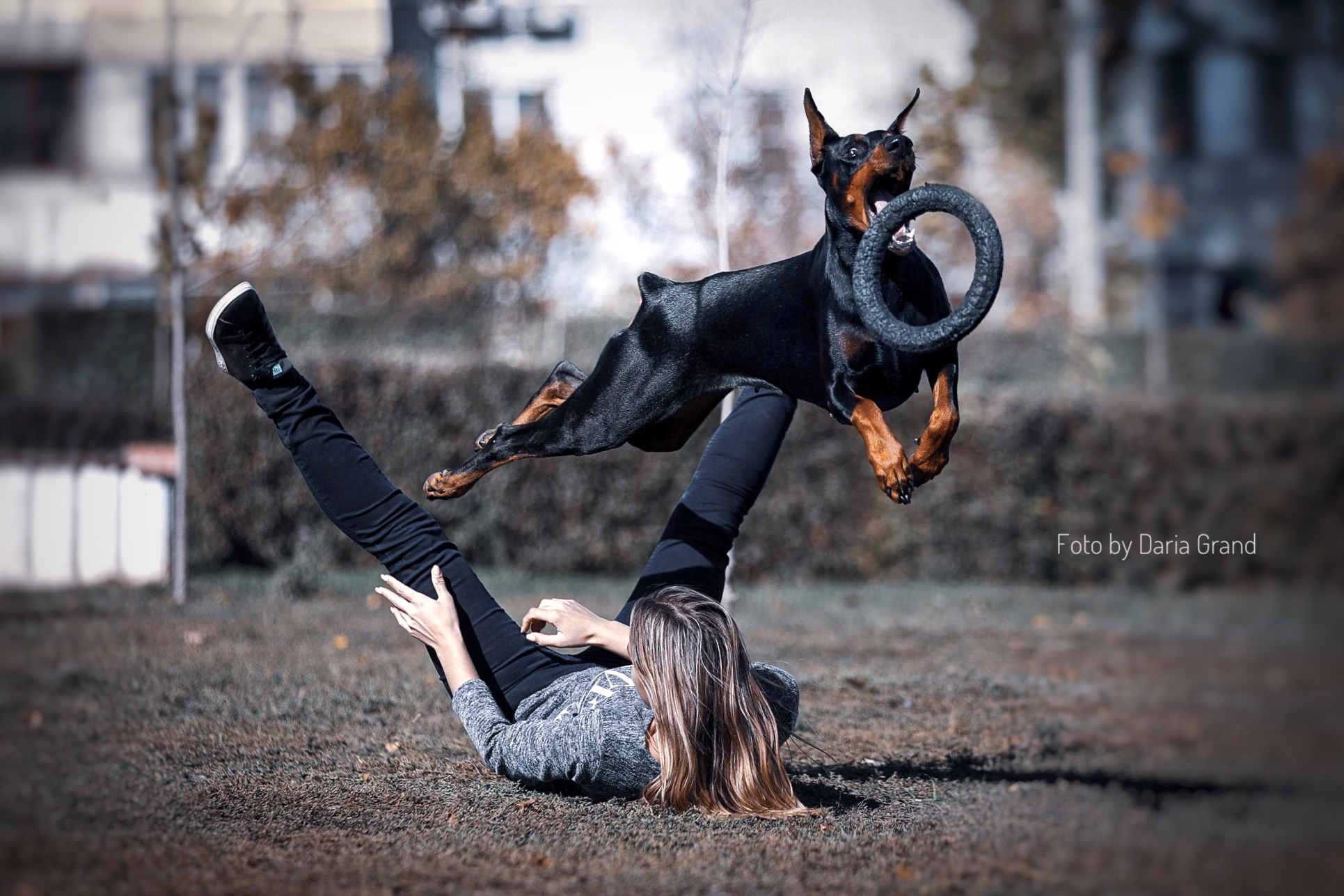 Fun cynology - My, Doberman, Trick, Dog