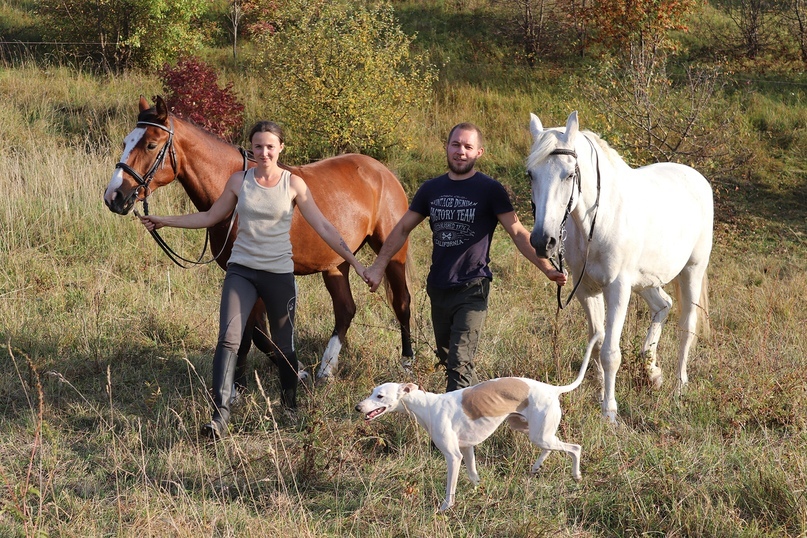 FROM A BIG CITY TO A SMALL VILLAGE - Horses, From city to country, Farm, Longpost