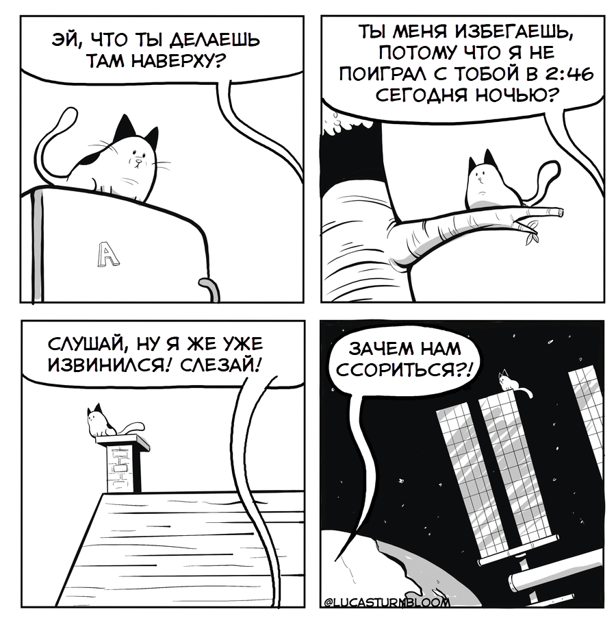 How to Cat, March 2019, part 1 - My, Howtocat, Lucas Turnbloom, Comics, Translation, Longpost