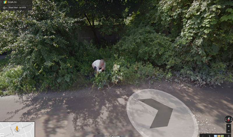 Travel on Google maps. Part 29 - Google maps, Images, Humor, Longpost