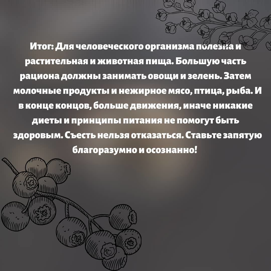 Съесть нельзя отказаться - Моё, Правильное питание, Питание, Веганы, Мясоеды, Рацион, Длиннопост