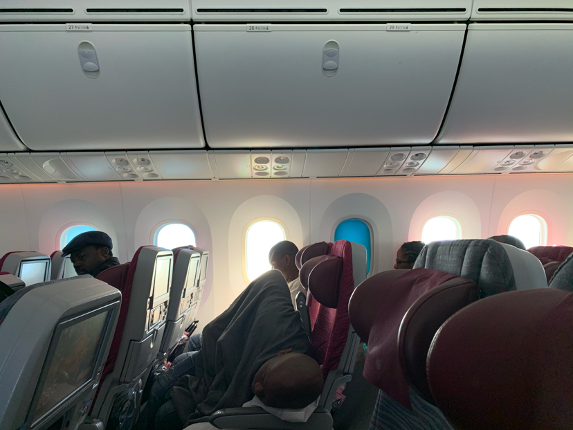 Please take your seats - My, Airplane, Moscow, Lagos, Nigeria, Cattle