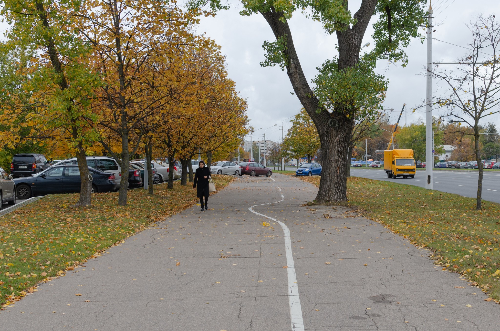 This is the marking. - My, Minsk, Bike path