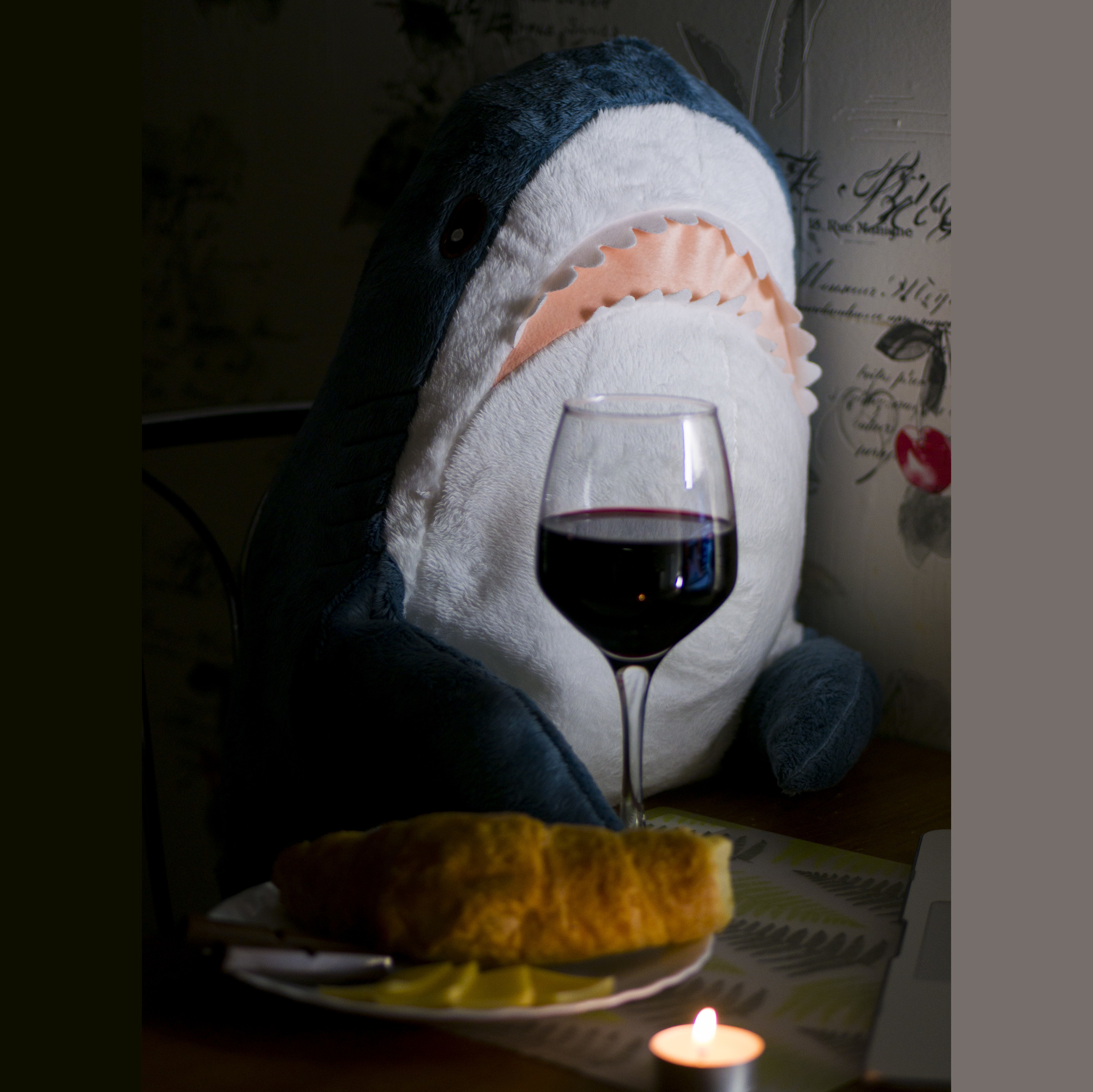 Shark Tuna - lifestyle blogger - My, Shark, Plush Toys, The photo, Autumn, Blohey, IKEA, Instagram, Video, Longpost