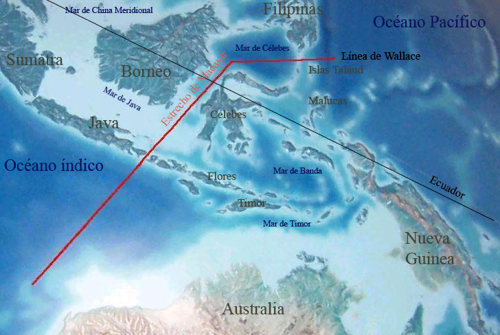 Settlement of Australia, Tasmania and New Guinea - Australia, Papuans, Tasmania, Aborigines, Papua New Guinea, Anthropology, Longpost