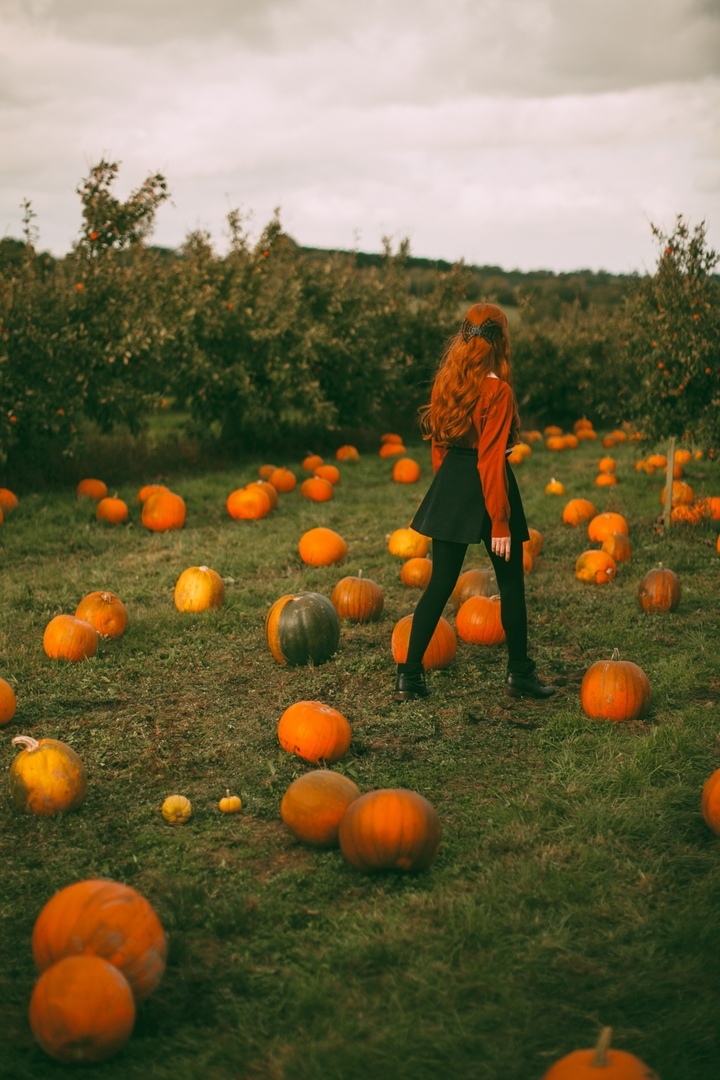 Autumn mood - Redheads, Pumpkin, Halloween, Autumn, The photo, Longpost