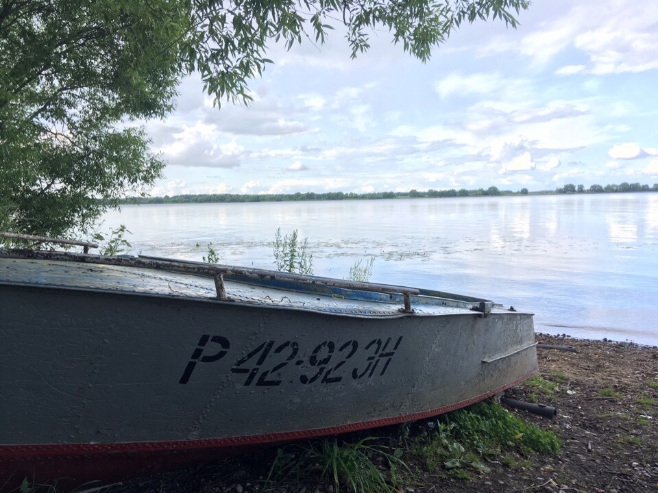 #TRASHTAG 27.0 - Kostroma, Nature, Ecology, Volga river, Pure Man's League, Garbage, Saturday clean-up, Longpost