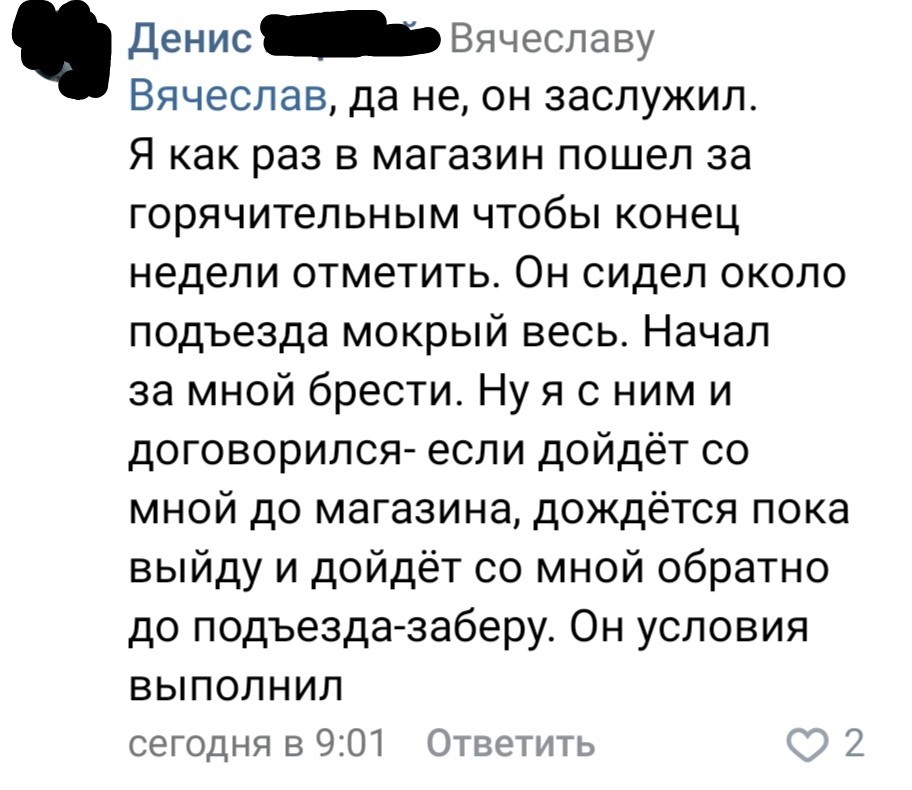 Как завести себе кота. Или как коту завести себе человека - Кот, Доброта, ВКонтакте, Скриншот