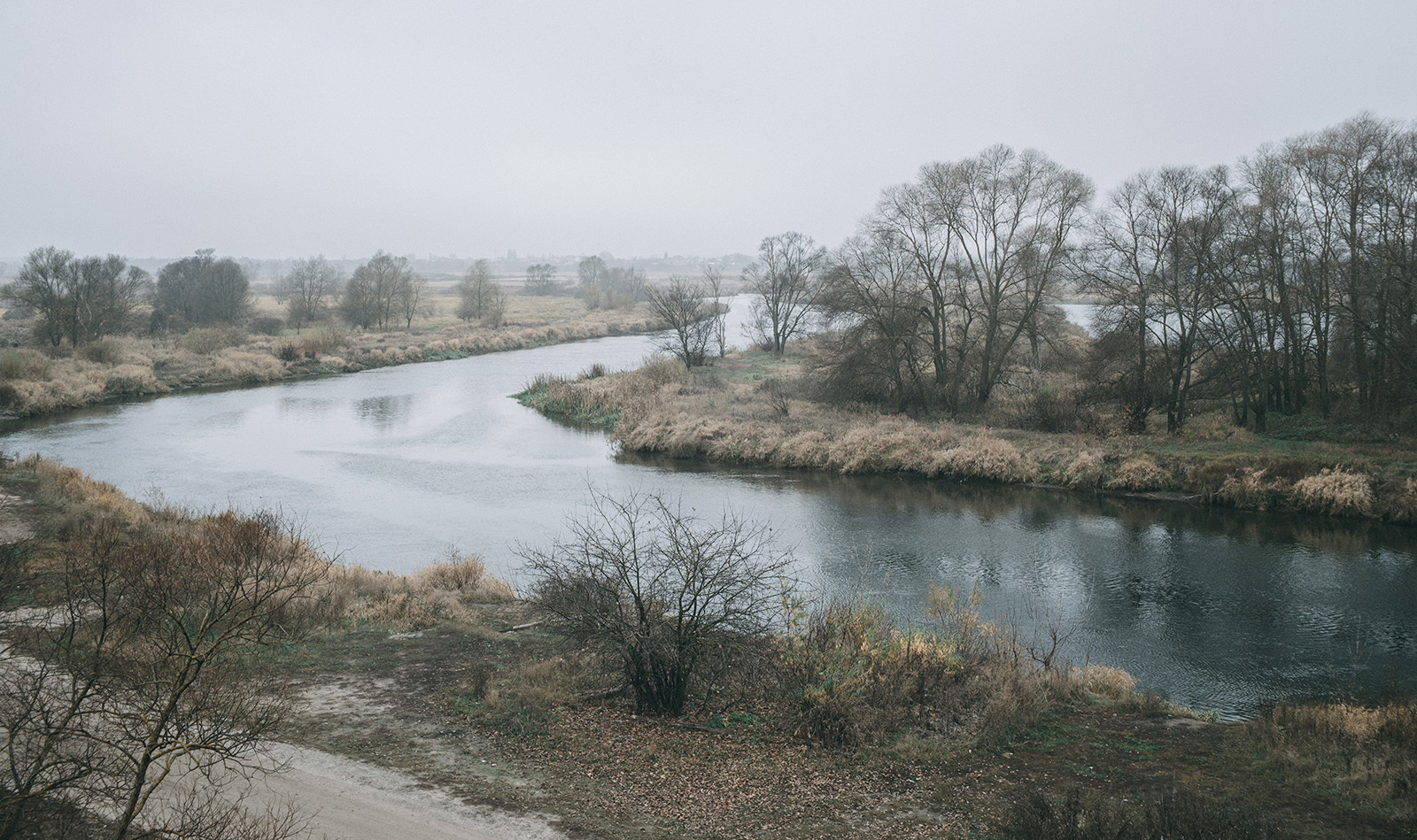 Welcome to November. - My, River, Autumn, November, Fog, Cold, Withering