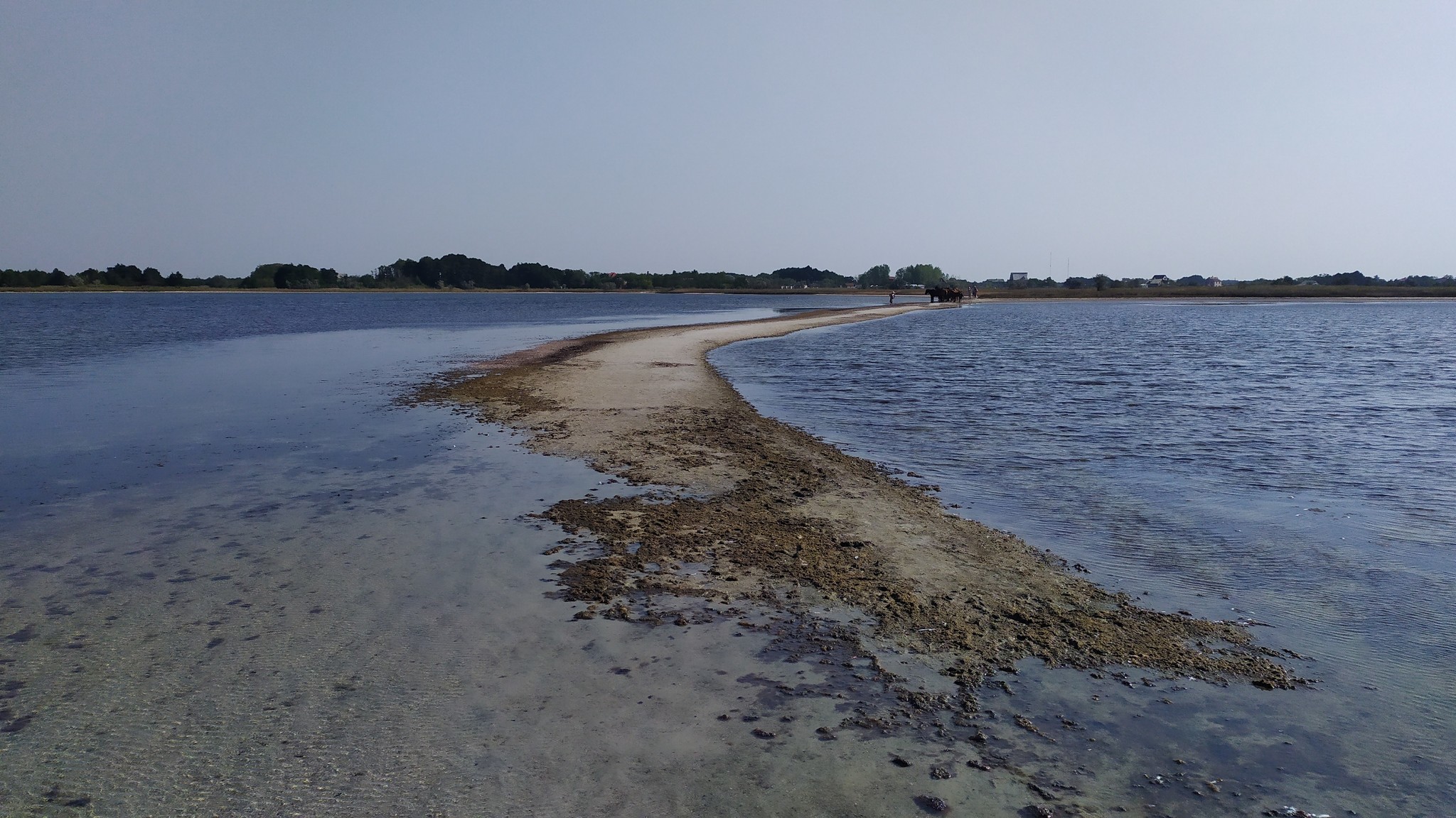 Summer 2019. Sea. Kinburn. Ukraine. - My, Black Sea, Summer, Longpost