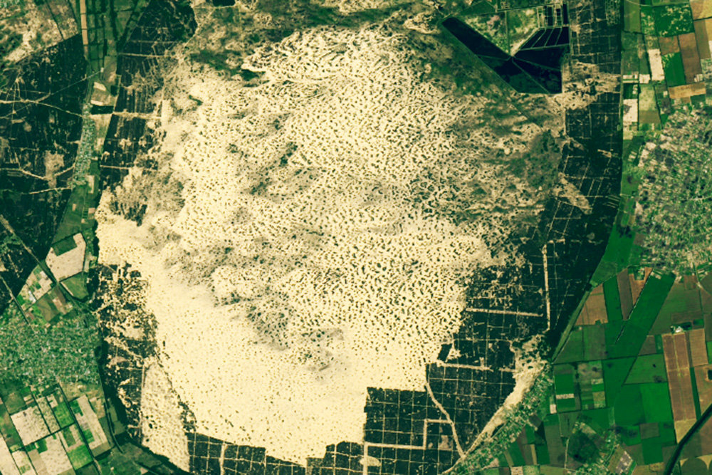 NASA images showed what a mini-desert in Ukraine looks like. - Desert, Nature