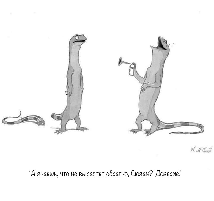 Offended - Lizard, Humor, Comics, Confidence, The fright, Tail