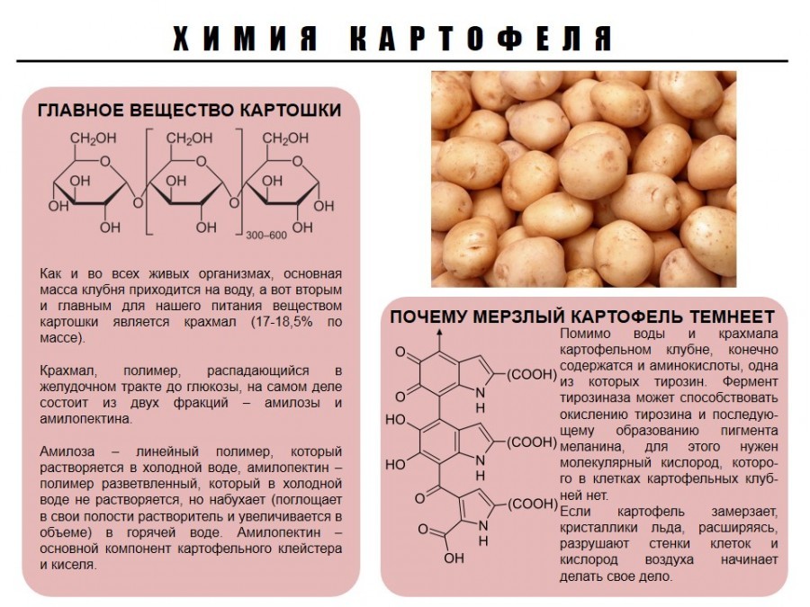 Chemistry of some food products, part 2 - Chemistry, Nutrition, Products, Infographics, Picture with text, Copy-paste, Interesting, Longpost