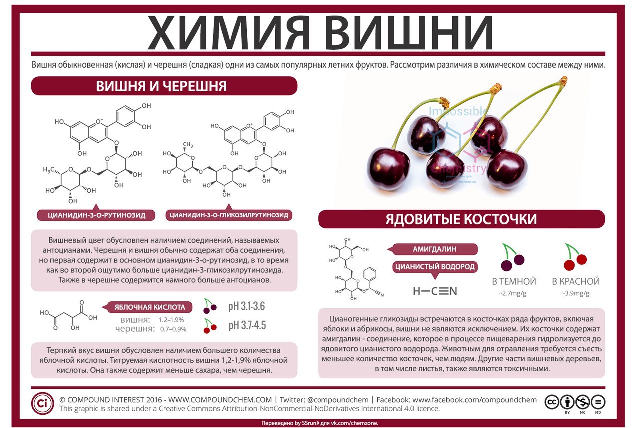 Chemistry of some food products, part 2 - Chemistry, Nutrition, Products, Infographics, Picture with text, Copy-paste, Interesting, Longpost