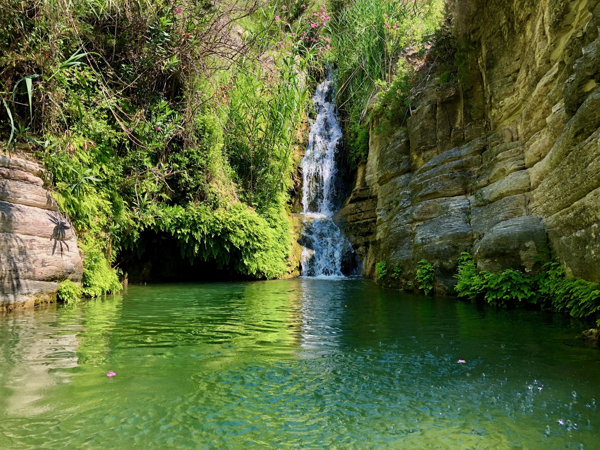 Cyprus. Baths of Adonis. - My, Video, Longpost, Nature, sights