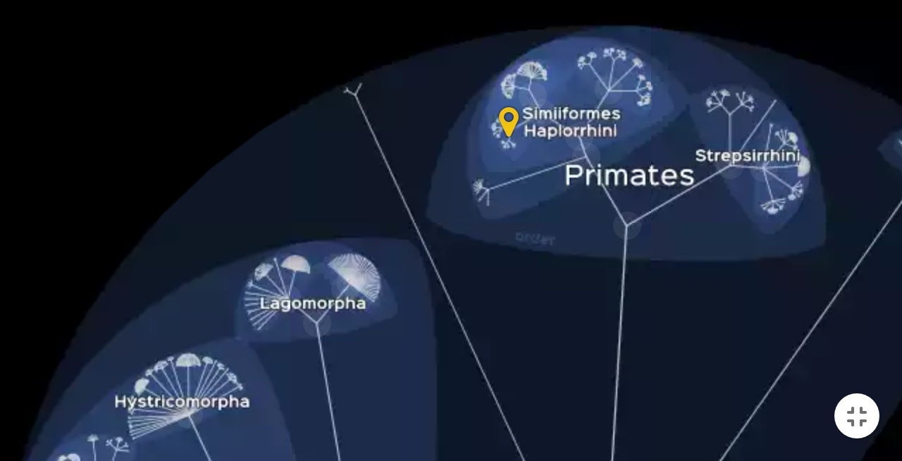 Interactive map of life LifeMap - Biology, Evolution, Interactive map, Lyon, France, Origin of life, Longpost