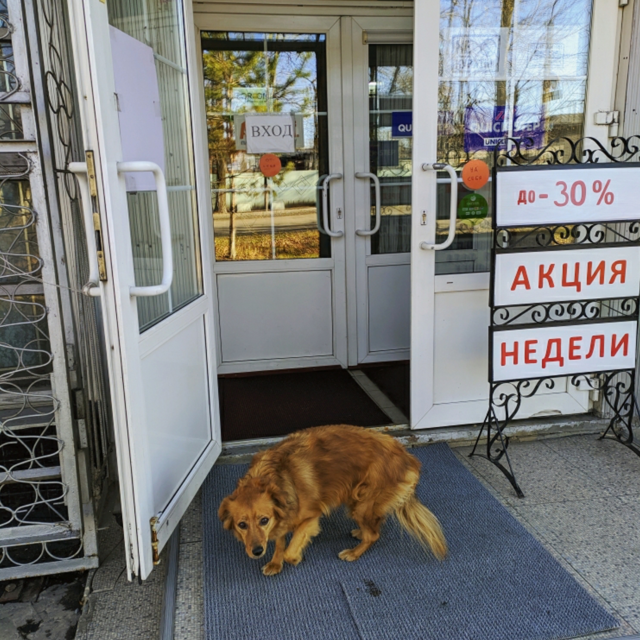 Брожу по городу один - Биробиджан - Моё, Биробиджан, Еврейская автономная область, Фотобродилки, Фотография, Путешествие по России, Путешествия, Россия, Длиннопост