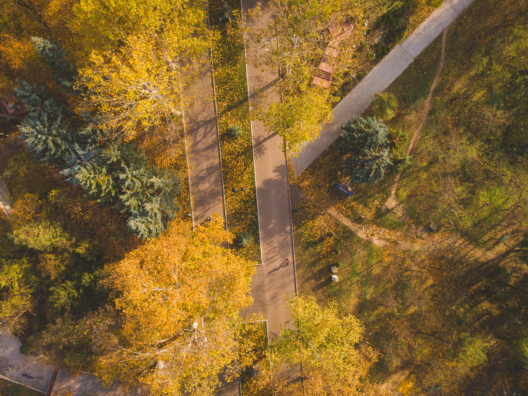 Autumn Chisinau, Rose Valley Park - My, The photo, Kishinev, Autumn, Moldova, Longpost