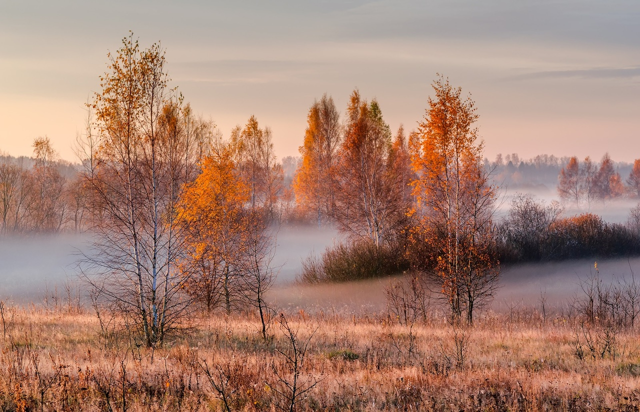 Туманная, рассветная. - Природа, Фотография, Республика Беларусь, Длиннопост