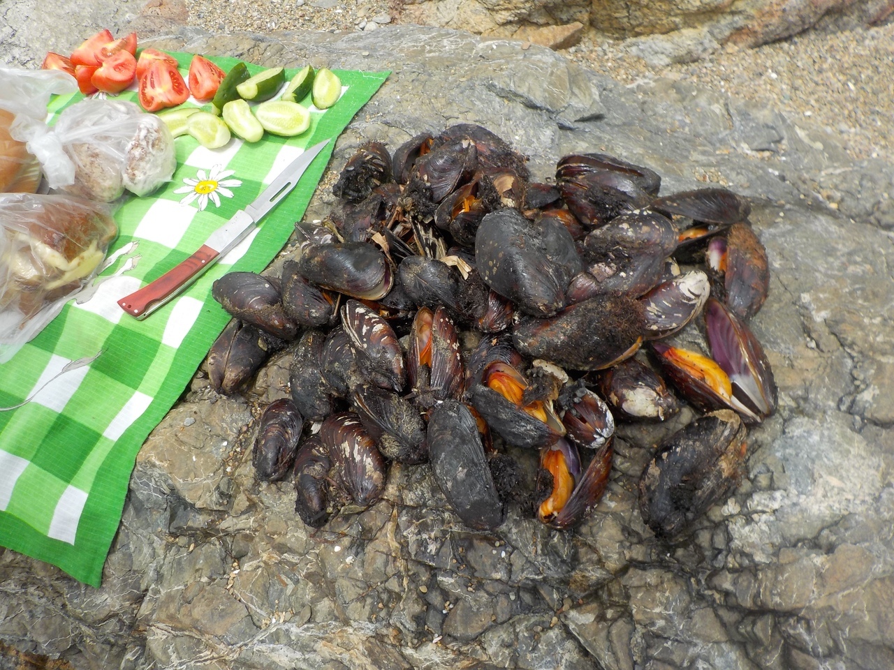 Cooking mussels correctly and tasty - My, Primorsky Krai, Дальний Восток, Mussels, Cooking, Kitchen, Humor, Culinary humor, Longpost