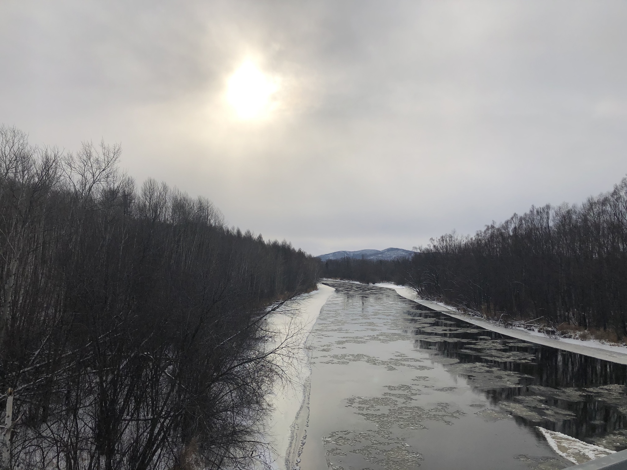 A little bit of wildlife - My, The photo, Nature, Khabarovsk region, Video, Longpost