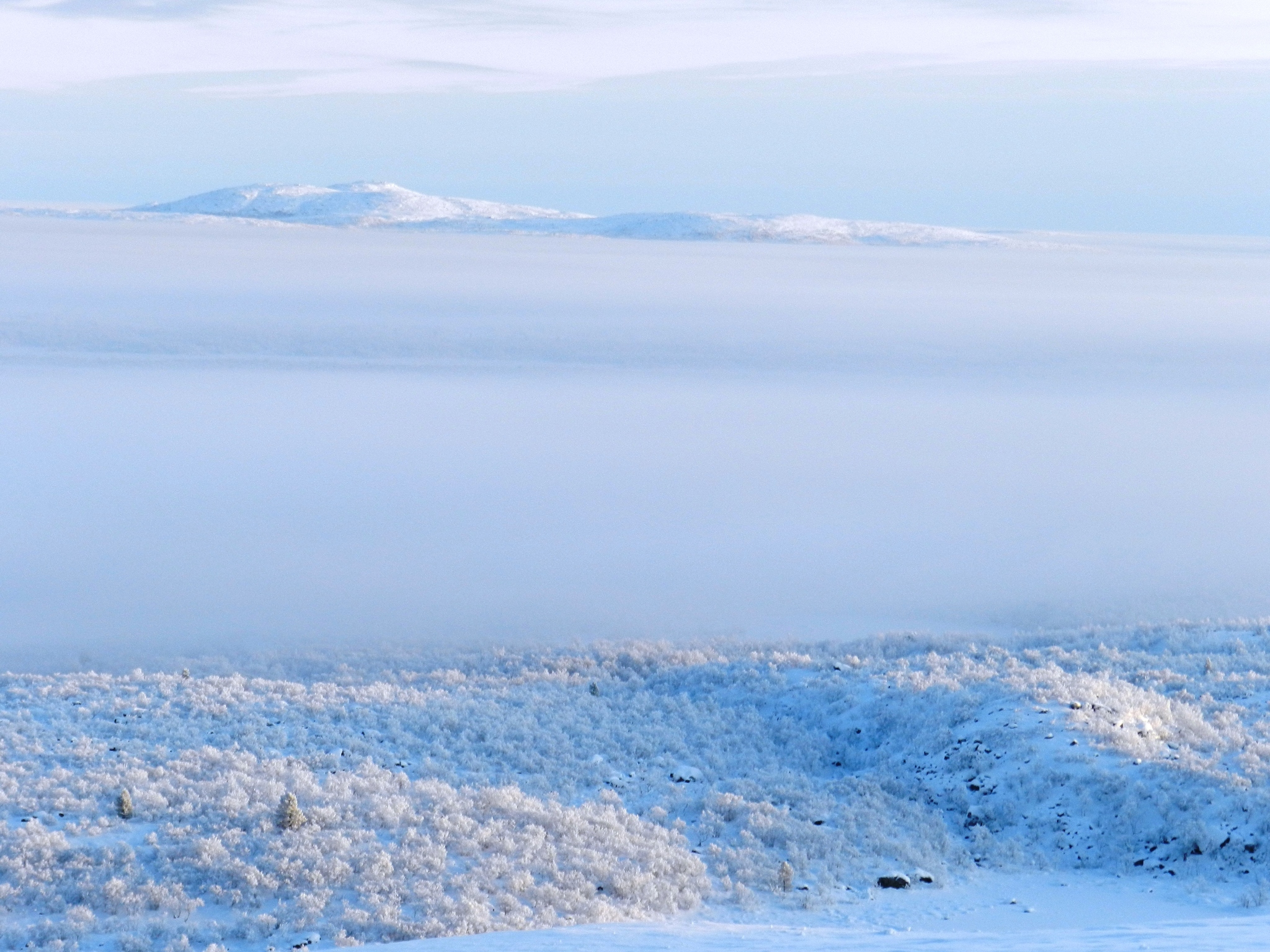 Sunday on Lisya. Duster, Lexus, Arctic Trucks, Defender, Mitsubishi, 4x4, Offroad, Murmansk - My, Renault Duster, Lexus, Murmansk, Winter, Snow, freezing, 4x4, Offroad, Video, Longpost