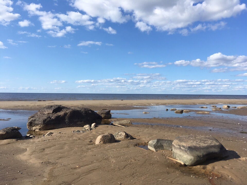 Trashtag “Rybinsk Reservoir”. - My, Saturday clean-up, Pure Man's League, Garbage, Rybinsk, Rybinsk Reservoir, Moto, Africa, Yaroslavskaya oblast, Longpost