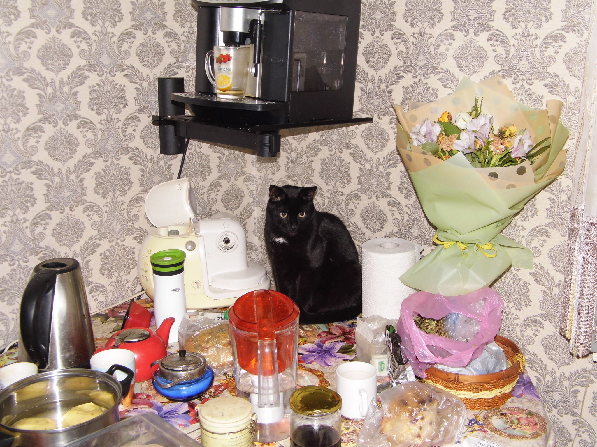 Can the heel be cut off? pikabu.monster