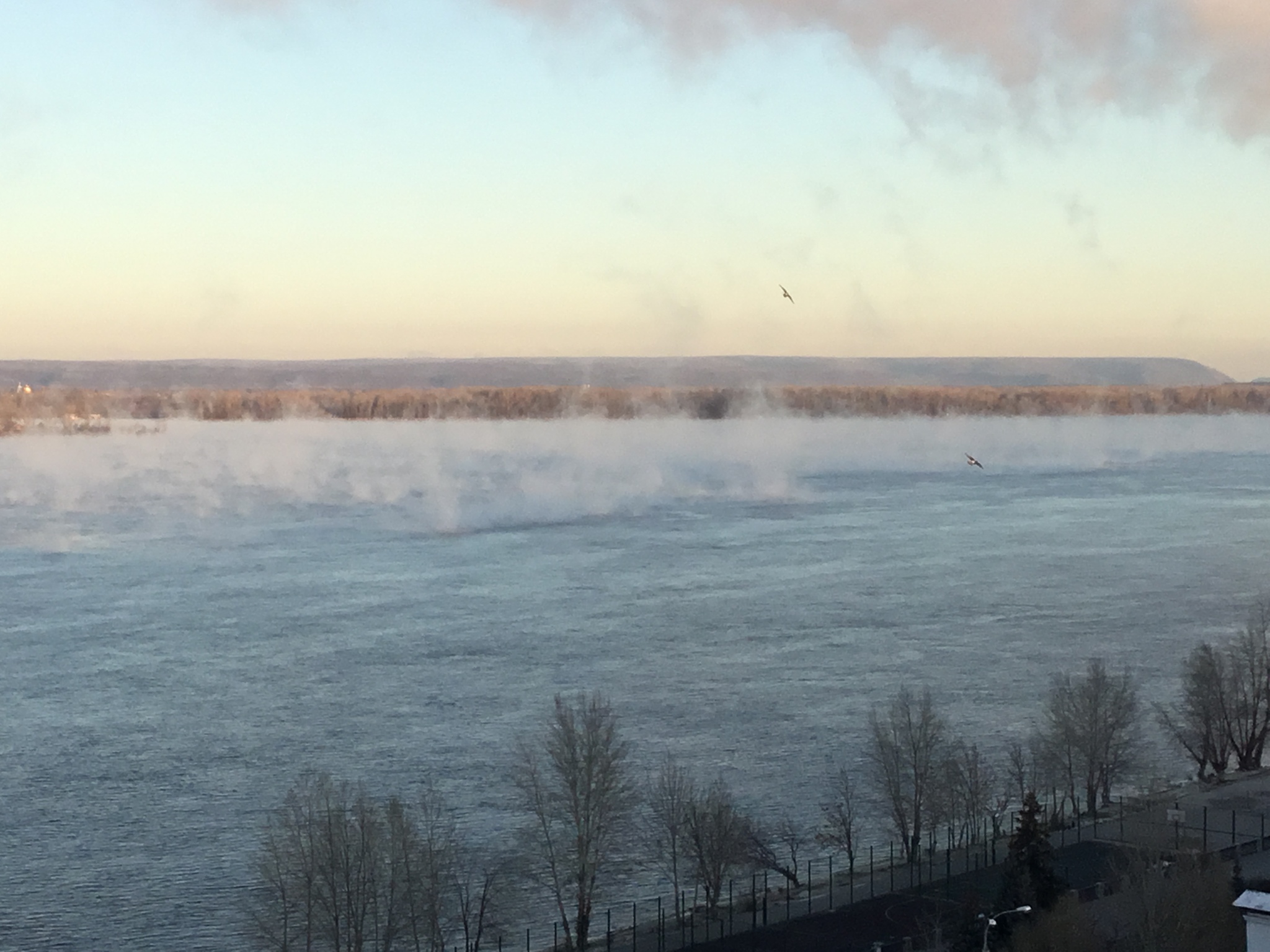 When it got colder - My, Cold, Hovering, The photo, Samara, Volga river