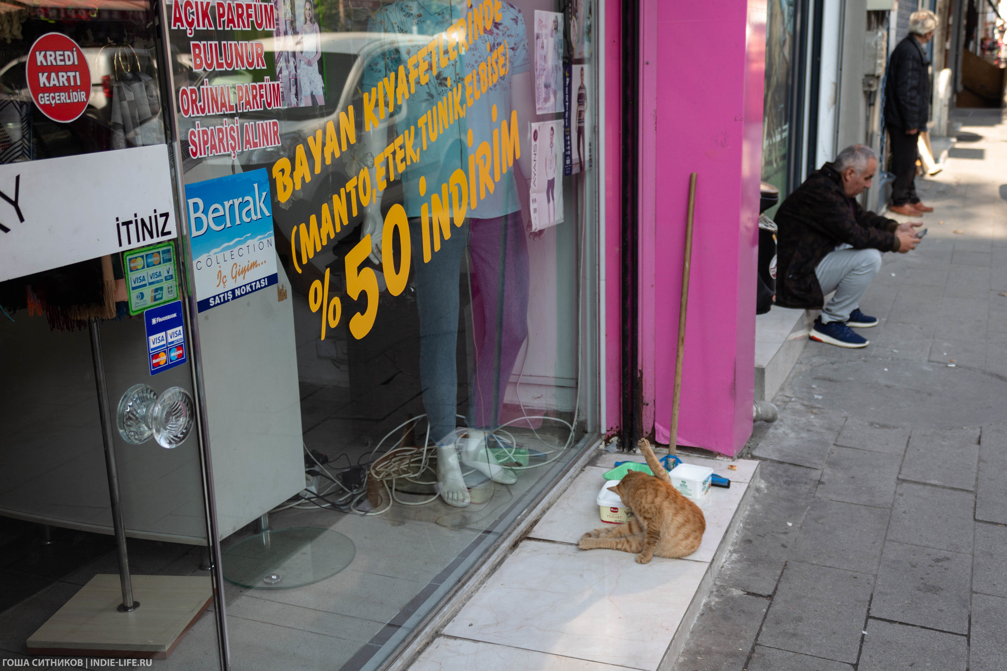 Istanbul cats (and dogs) - My, Istanbul, Turkey, Longpost, cat, Dog