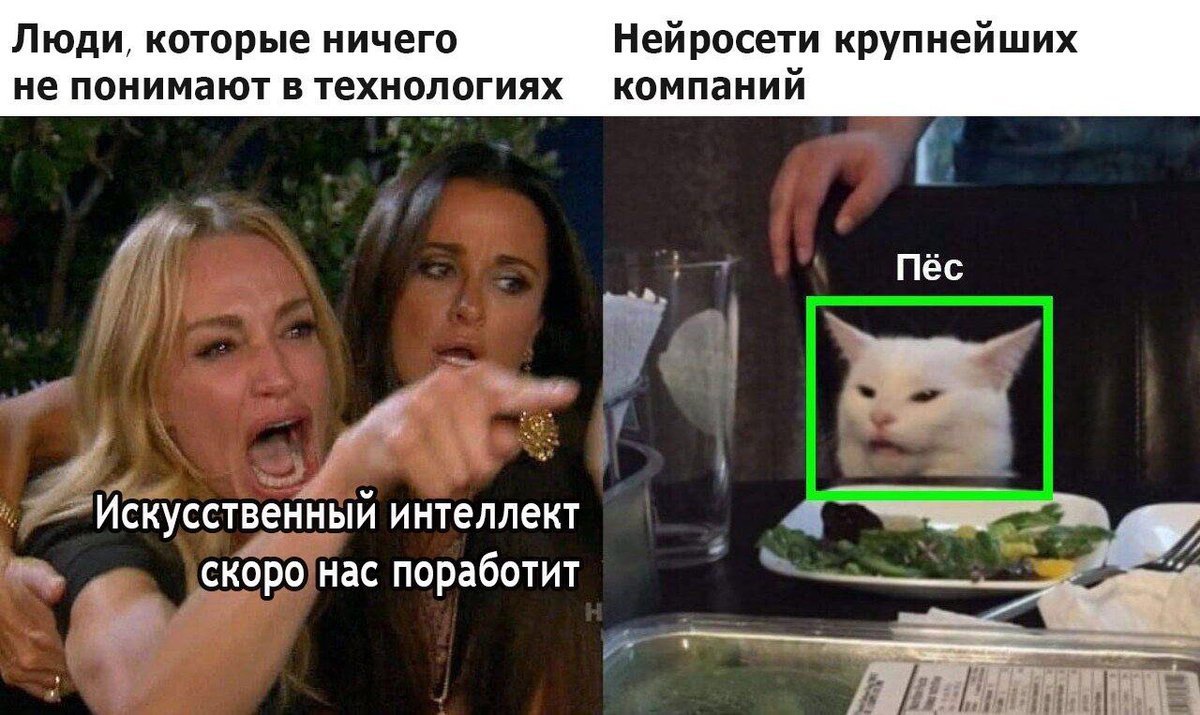 Meme collection: cat with salad - Memes, Humor, Picture with text, cat, Longpost, Two women yell at the cat, A selection